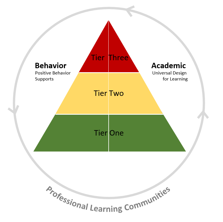 support assessment for learning